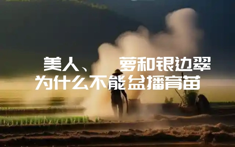 虞美人、茑萝和银边翠为什么不能盆播育苗-会东网