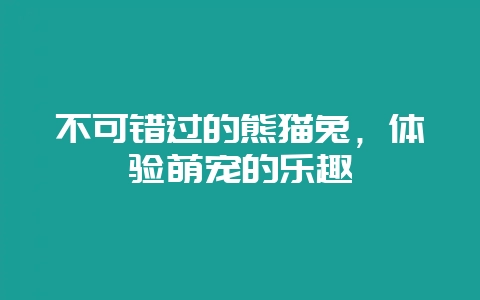 不可错过的熊猫兔,体验萌宠的乐趣插图 不可错过的熊猫兔,体验萌宠的乐趣插图