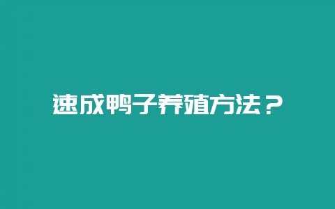 速成鸭子养殖方法？-会东网