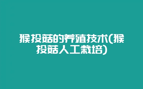 猴头菇的养殖技术(猴头菇人工栽培)-会东网