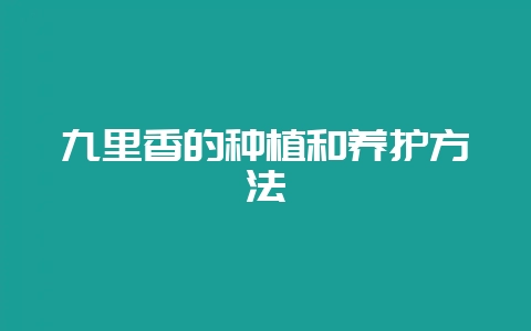 九里香的种植和养护方法插图 九里香的种植和养护方法插图