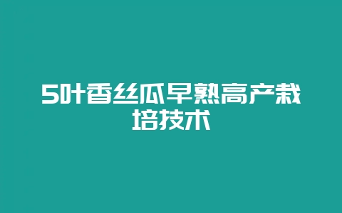 5叶香丝瓜早熟高产栽培技术-会东网