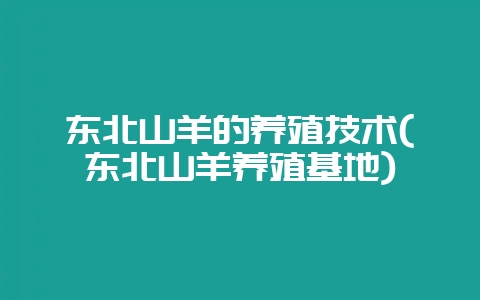 东北山羊的养殖技术(东北山羊养殖基地)-会东网