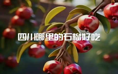 四川哪里的石榴好吃-会东网