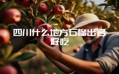 四川什么地方石榴出名好吃-会东网