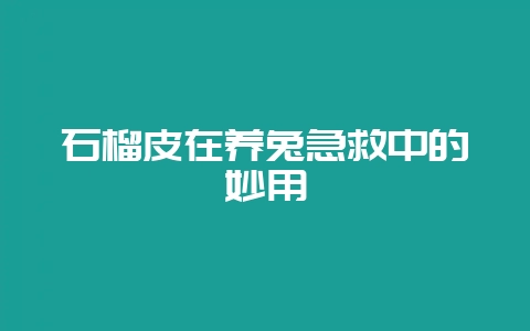 石榴皮在养兔急救中的妙用-会东网