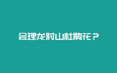 会理龙肘山杜鹃花？-会东网