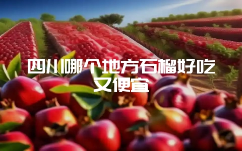 四川哪个地方石榴好吃又便宜-会东网