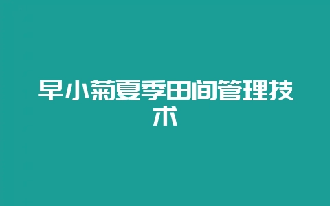 早小菊夏季田间管理技术插图 早小菊夏季田间管理技术插图