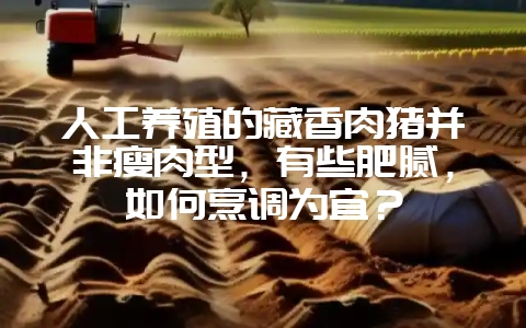 人工养殖的藏香肉猪并非瘦肉型，有些肥腻，如何烹调为宜？-会东网