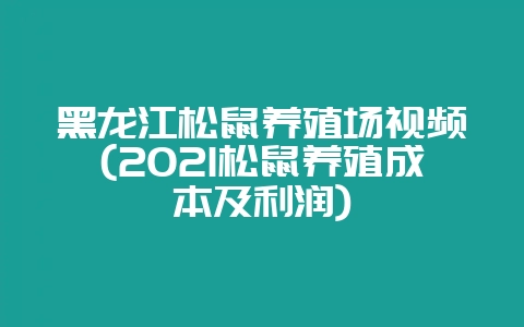 黑龙江松鼠养殖场视频(2021松鼠养殖成本及利润)-会东网