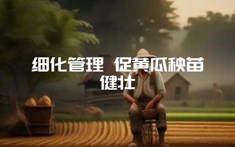 细化管理 促黄瓜秧苗健壮-会东网