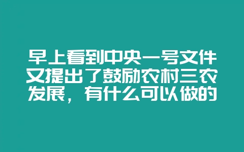 早上看到中央一号文件又提出了鼓励农村三农发展，有什么可以做的？-会东网
