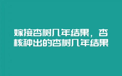 嫁接杏树几年结果,杏核种出的杏树几年结果-会东网