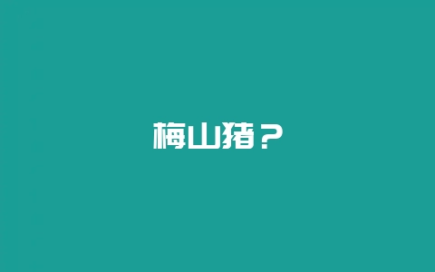 梅山猪?插图 梅山猪?插图