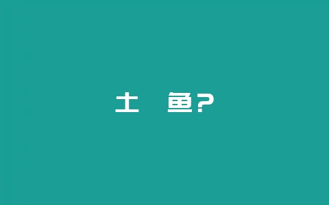 土鲮鱼？-会东网