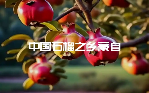 中国石榴之乡蒙自-会东网