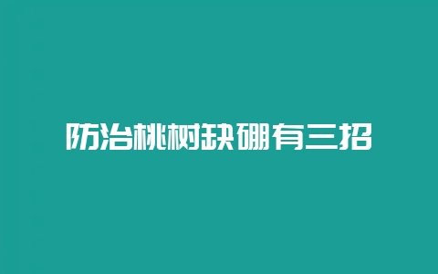 防治桃树缺硼有三招-会东网