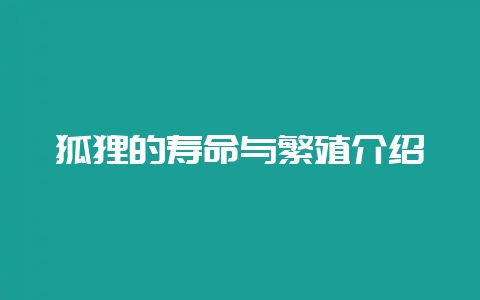狐狸的寿命与繁殖介绍-会东网