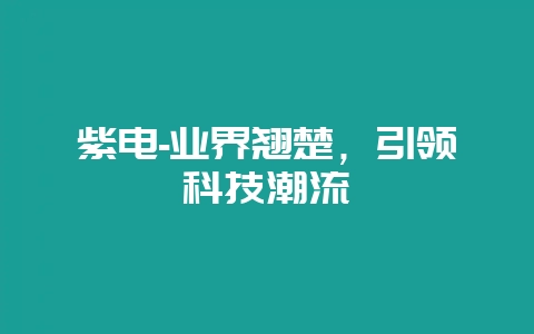 紫电-业界翘楚,引领科技潮流插图 紫电-业界翘楚,引领科技潮流插图