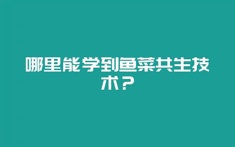 哪里能学到鱼菜共生技术?插图 哪里能学到鱼菜共生技术?插图