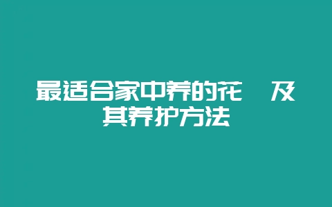 最适合家中养的花卉及其养护方法-会东网
