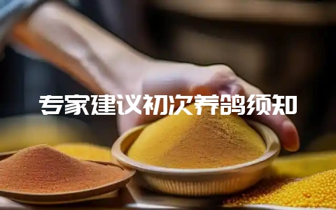 专家建议初次养鸽须知-会东网