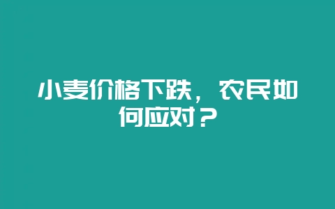 小麦价格下跌，农民如何应对？-会东网