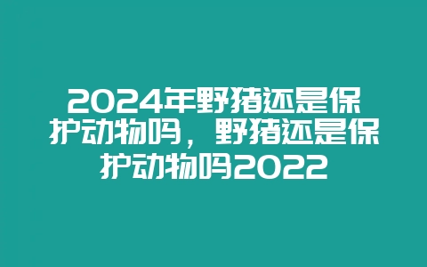 2024年野猪还是保护动物吗，野猪还是保护动物吗2022-会东网