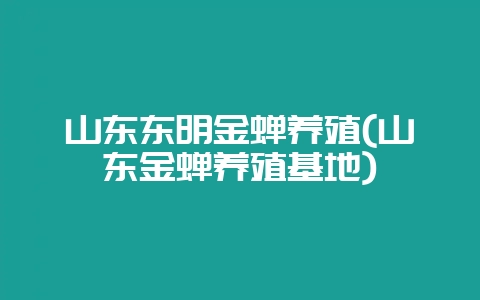 山东东明金蝉养殖(山东金蝉养殖基地)-会东网