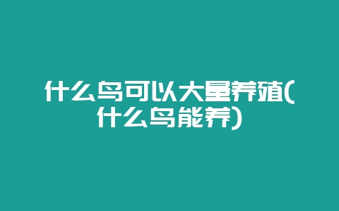 什么鸟可以大量养殖(什么鸟能养)-会东网