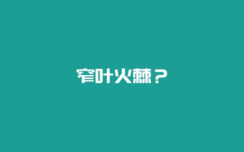 窄叶火棘?插图 窄叶火棘?插图