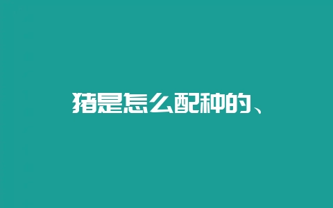 猪是怎么配种的、-会东网