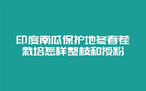 印度南瓜保护地冬春茬栽培怎样整枝和授粉-会东网