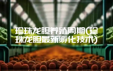 珍珠龙胆养殖周期(珍珠龙胆最新孵化技术)-会东网