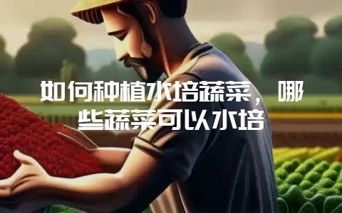 如何种植水培蔬菜，哪些蔬菜可以水培-会东网