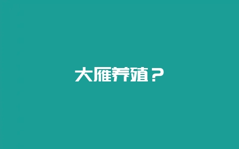 大雁养殖？-会东网