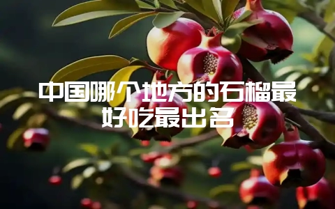中国哪个地方的石榴最好吃最出名-会东网