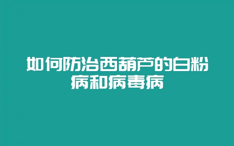 如何防治西葫芦的白粉病和病毒病插图 如何防治西葫芦的白粉病和病毒病插图
