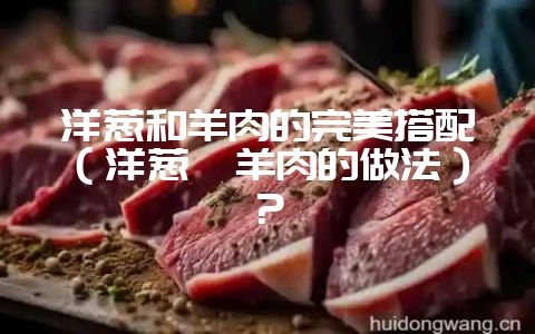 洋葱和羊肉的完美搭配（洋葱炖羊肉的做法）？-会东网