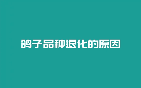 鸽子品种退化的原因-会东网