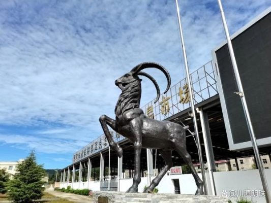 凉山会东县怎么样？-会东网