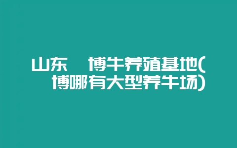 山东淄博牛养殖基地(淄博哪有大型养牛场)-会东网