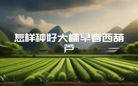 怎样种好大棚早春西葫芦-会东网