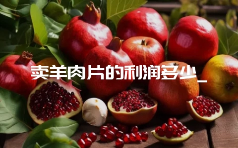 卖羊肉片的利润多少_-会东网