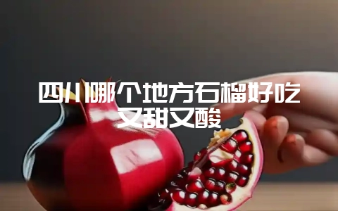 四川哪个地方石榴好吃又甜又酸插图 四川哪个地方石榴好吃又甜又酸插图
