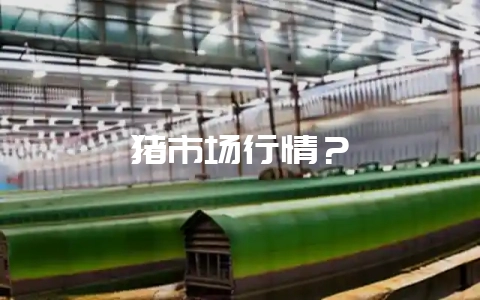 猪市场行情?插图 猪市场行情?插图
