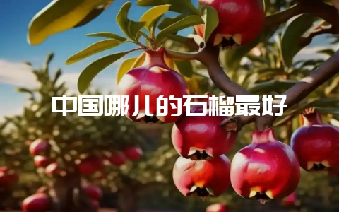 中国哪儿的石榴最好-会东网