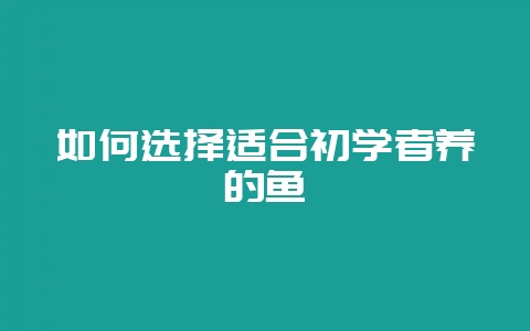 如何选择适合初学者养的鱼-会东网