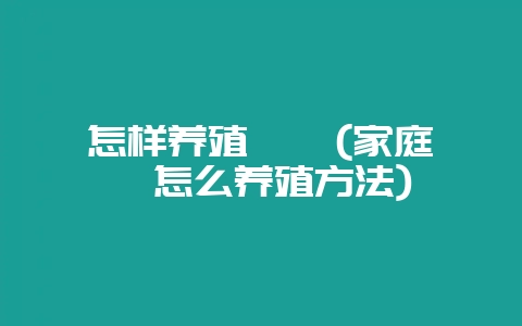 怎样养殖鹌鹑(家庭鹌鹑怎么养殖方法)-会东网